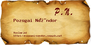 Pozsgai Nándor névjegykártya